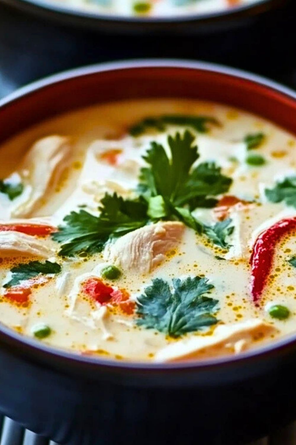 Crockpot Thai Coconut Chicken Soup