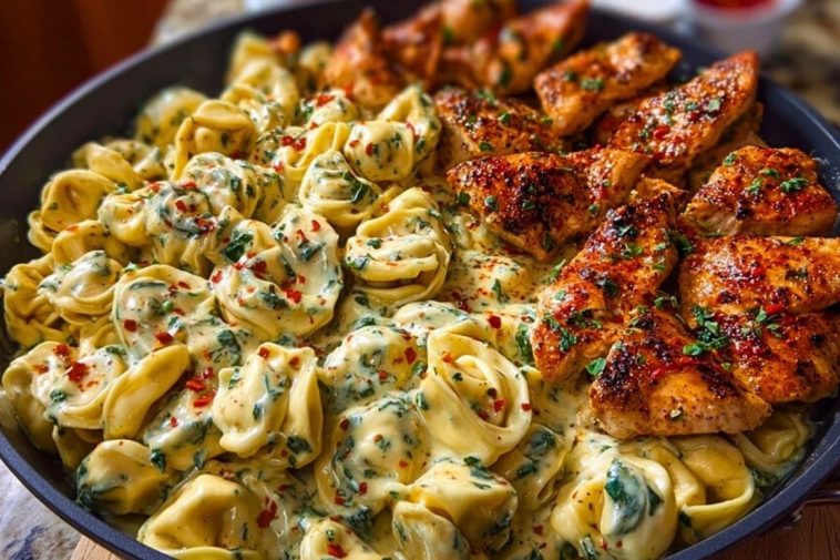 Easy Creamy Velveeta Chicken Tortellini with Mozzarella Garlic Sauce One-Pot Dinner