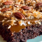 German Chocolate Sheet Cake Recipe